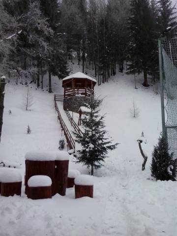 Cabane, Colibita, Colibita