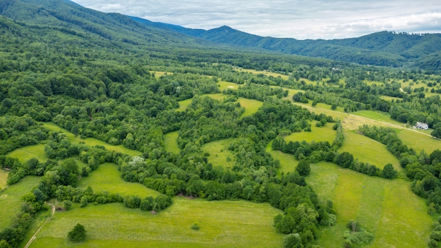 Pasuni-fanete, Sinca Noua, Seci STRAMBA