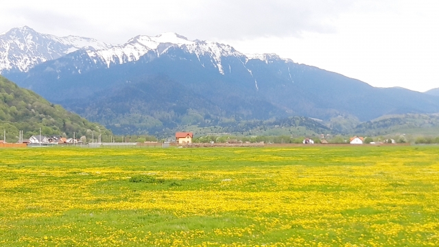 Pentru constructii, Drumul spre Glajarie, Glajarie